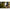 Thumbnail for Product image