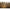 Thumbnail for Product image
