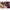 Thumbnail for Product image