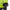 Thumbnail for Product image