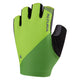 Lime / XS