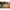 Thumbnail for Product image