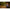Thumbnail for Product image