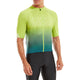 Lime / 2XL