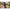 Thumbnail for Product image