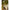 Thumbnail for Product image