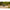 Thumbnail for Product image