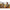Thumbnail for Product image