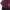 Thumbnail for Product image