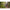 Thumbnail for Product image