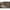 Thumbnail for Product image