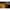 Thumbnail for Product image