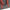 Thumbnail for Product image