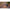 Thumbnail for Product image